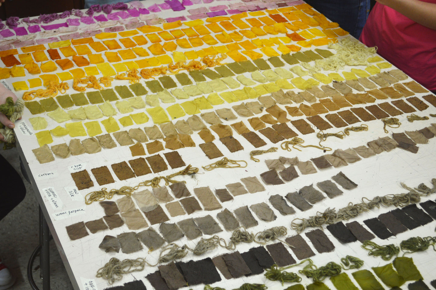 Introduction to Natural Dyes | October 19, 2025