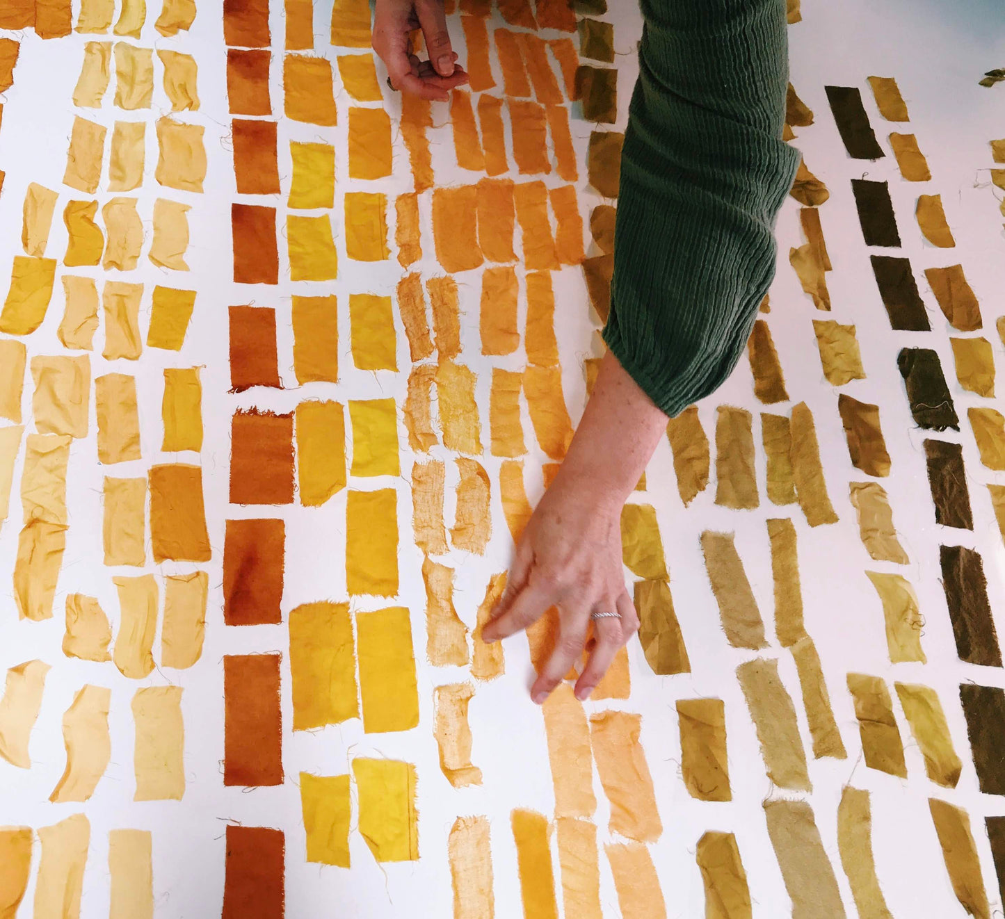Introduction to Natural Dyes | October 19, 2025
