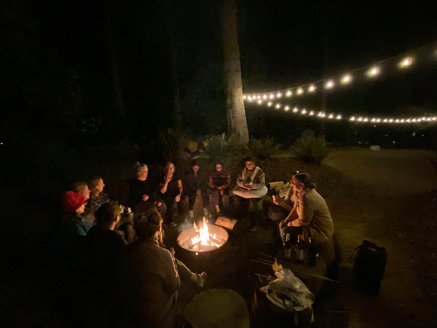 Knitting Under the Redwoods ~ REUNION Retreat | September 23 - 26, 2025