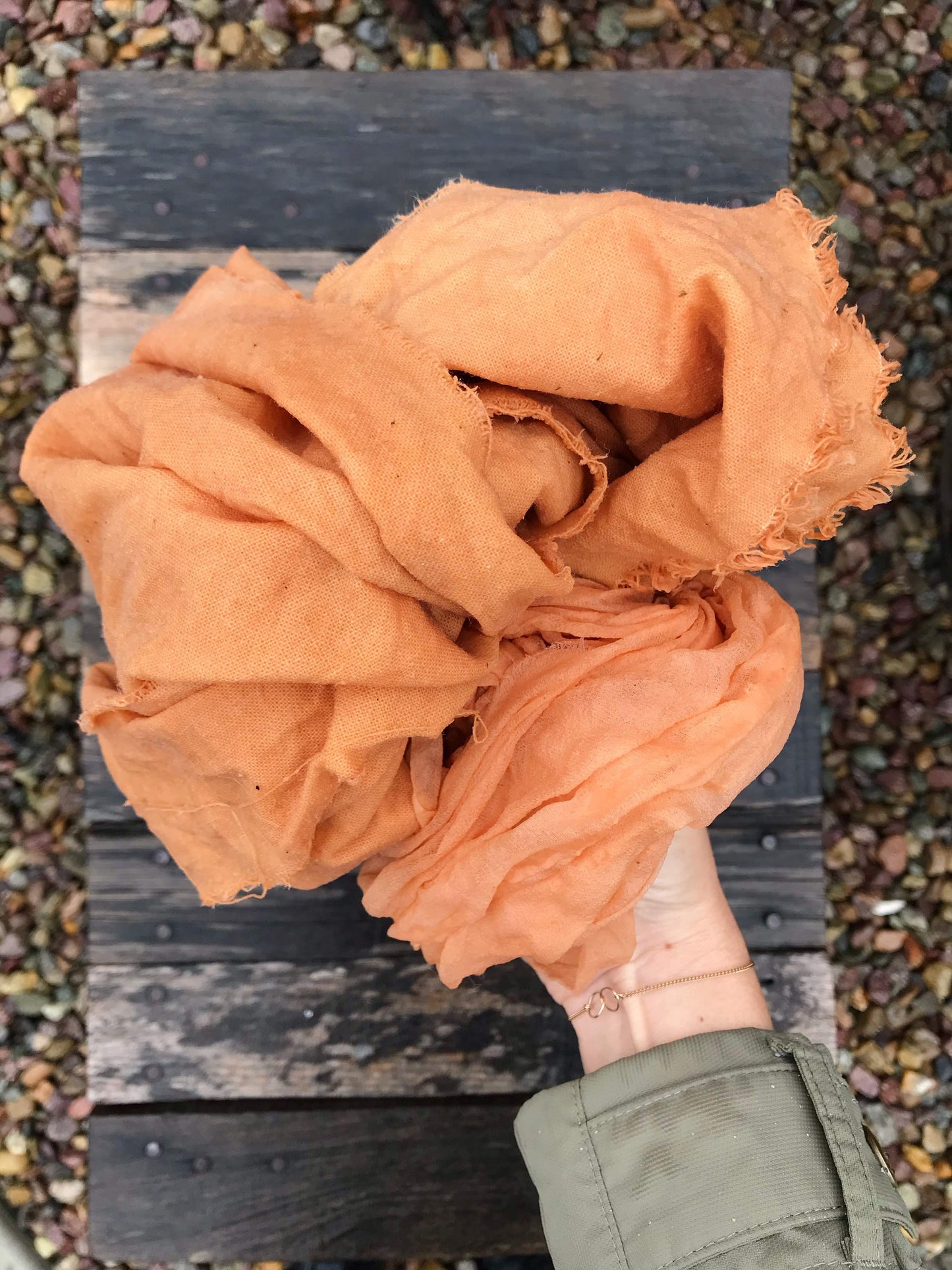 Introduction to Natural Dyes | October 19, 2025