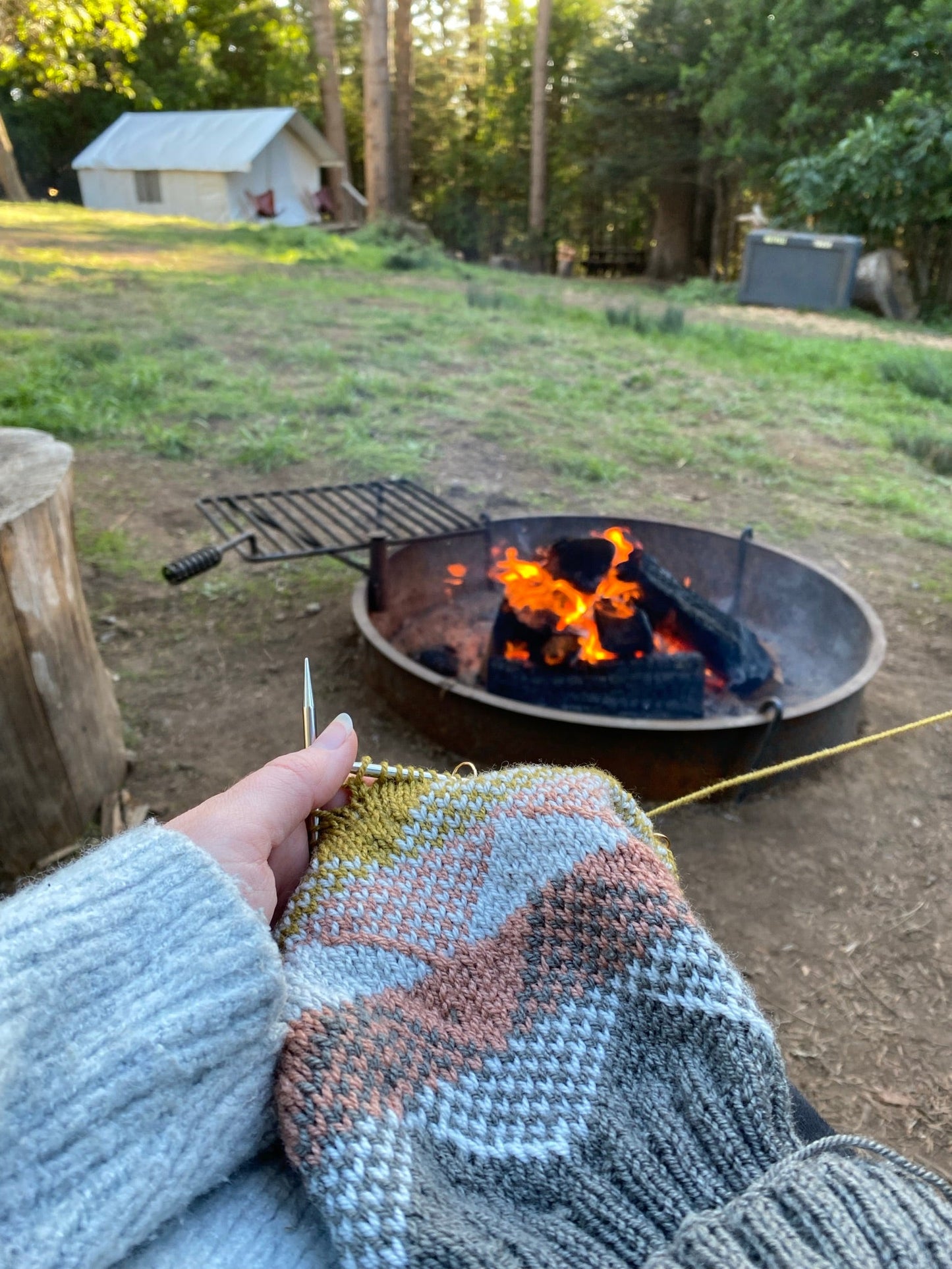 Knitting Under the Mendocino Redwoods FALL Retreat | September 25 - 28, 2024