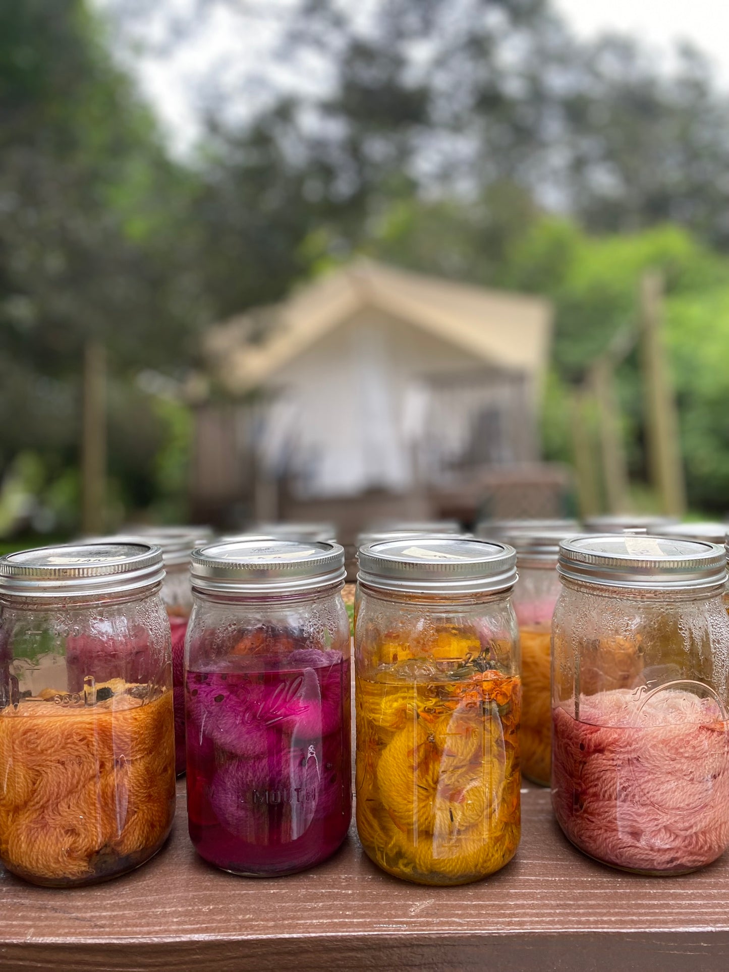 Speckled Yarn Using Natural Dyes | July 26, 2025