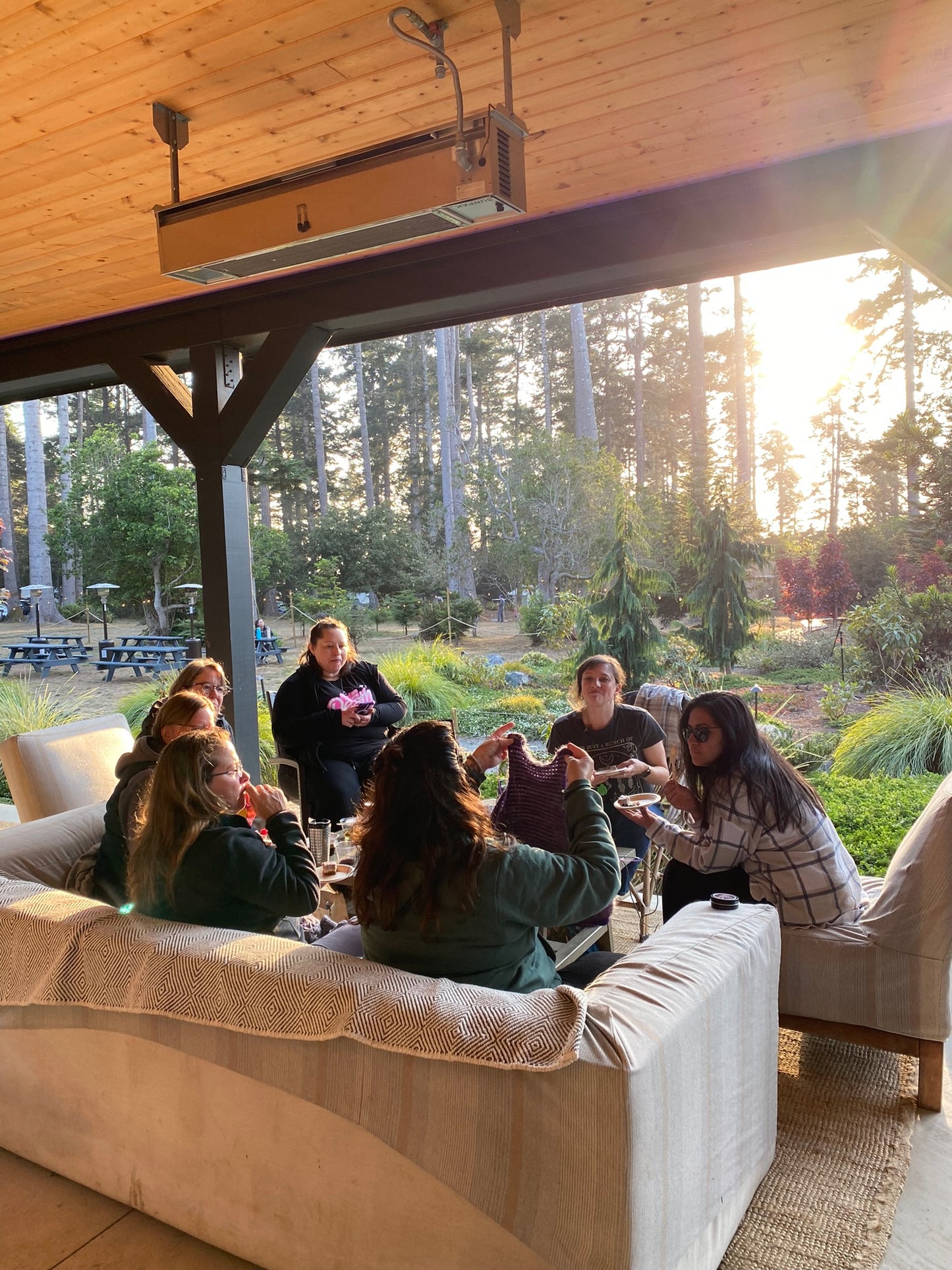 Knitting Under the Mendocino Redwoods SPRING Retreat | May 22 - 25, 2024