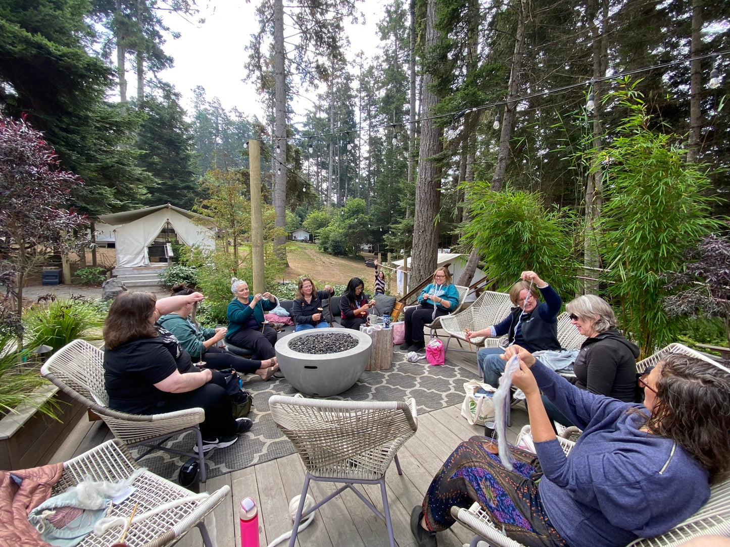 Knitting Under the Redwoods ~ REUNION Retreat | September 23 - 26, 2025