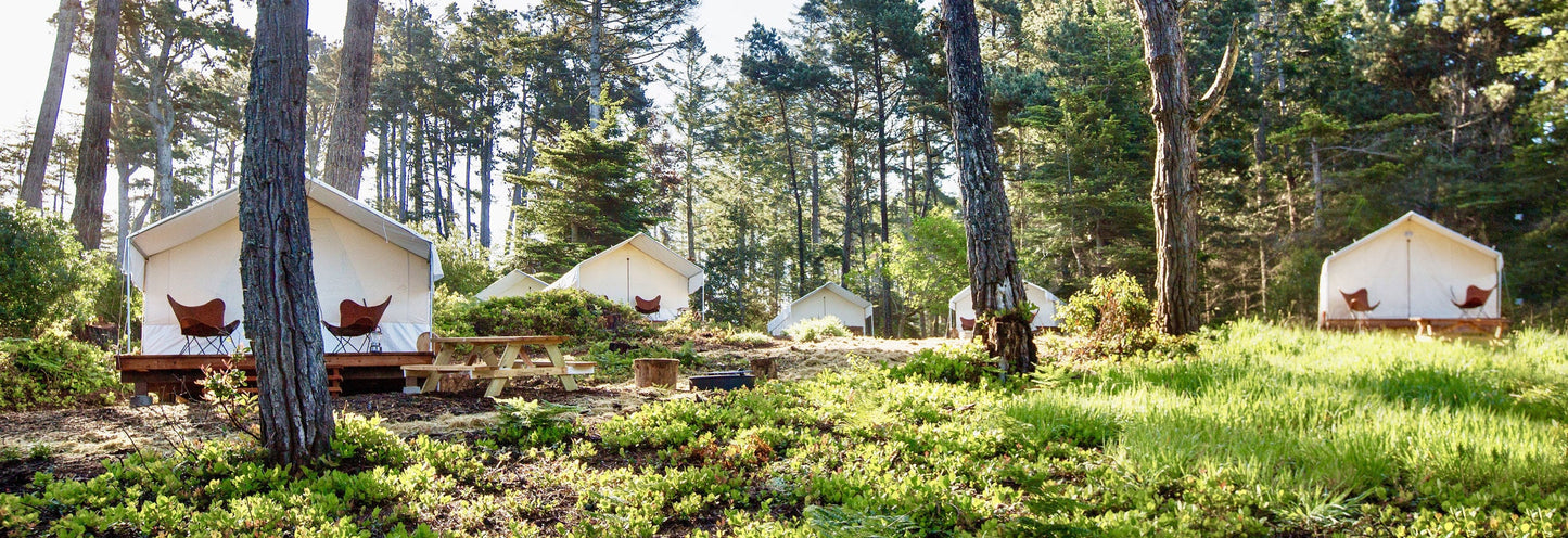 Knitting Under the Redwoods ~ REUNION Retreat | September 23 - 26, 2025
