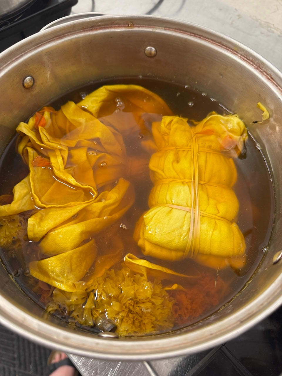 Introduction to Natural Dyes | October 19, 2025