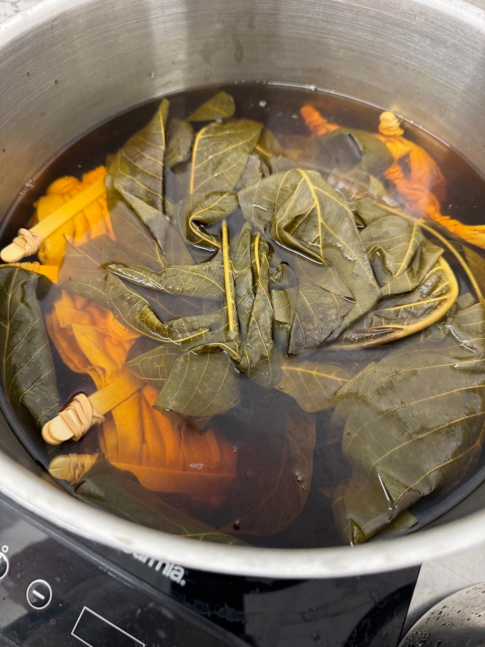 Introduction to Natural Dyes | October 19, 2025