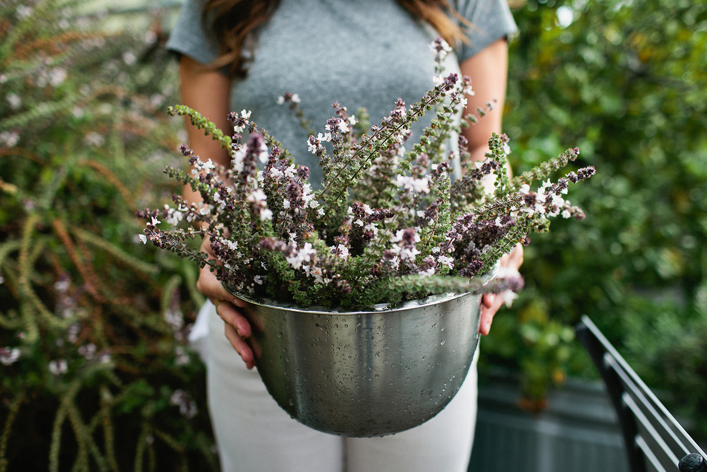 Introduction to Natural Dyes | October 19, 2025