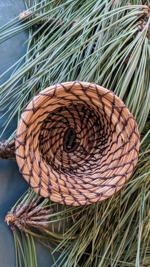 Weave a Pine Needle Basket | September 28, 2025