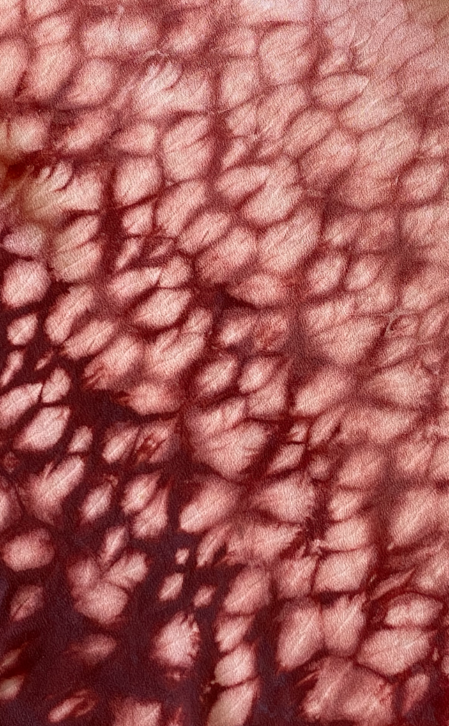 Shibori Fun with Alternative Dyes! | June 22, 2025