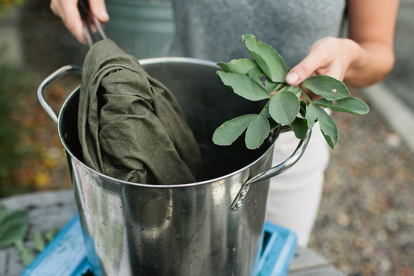 Introduction to Natural Dyes | October 19, 2025