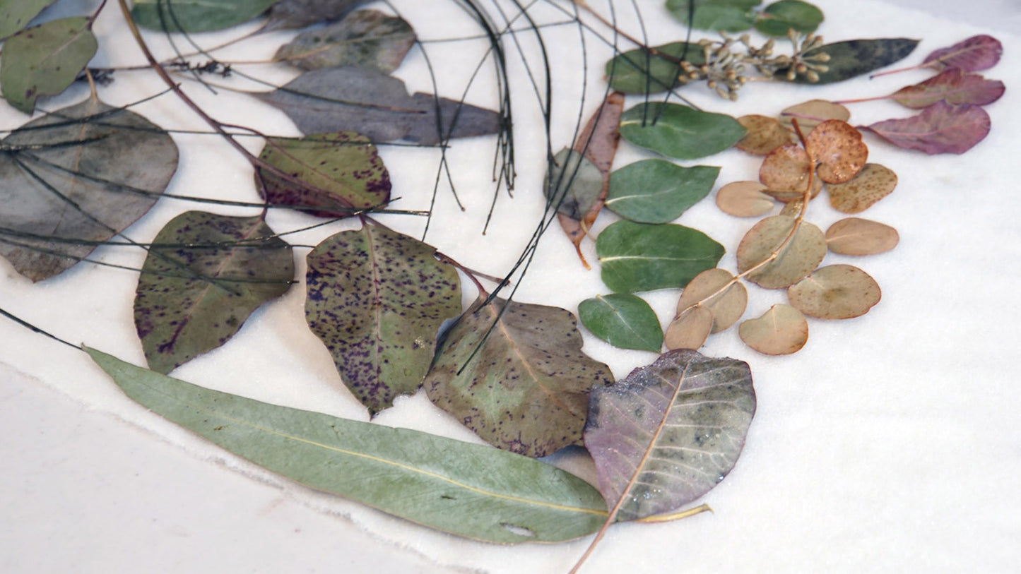 Eco Printing with Leaves | September 8, 2024