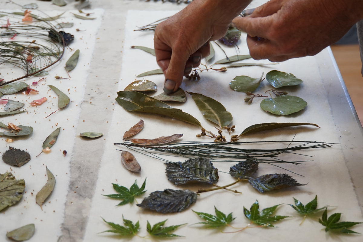 Eco Printing with Leaves | January 28, 2024