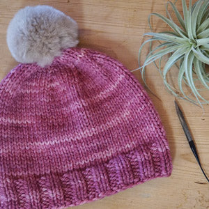 Beginning Knitting Series