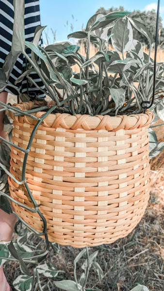 Weave a Bean Pot Basket | September 21, 2024