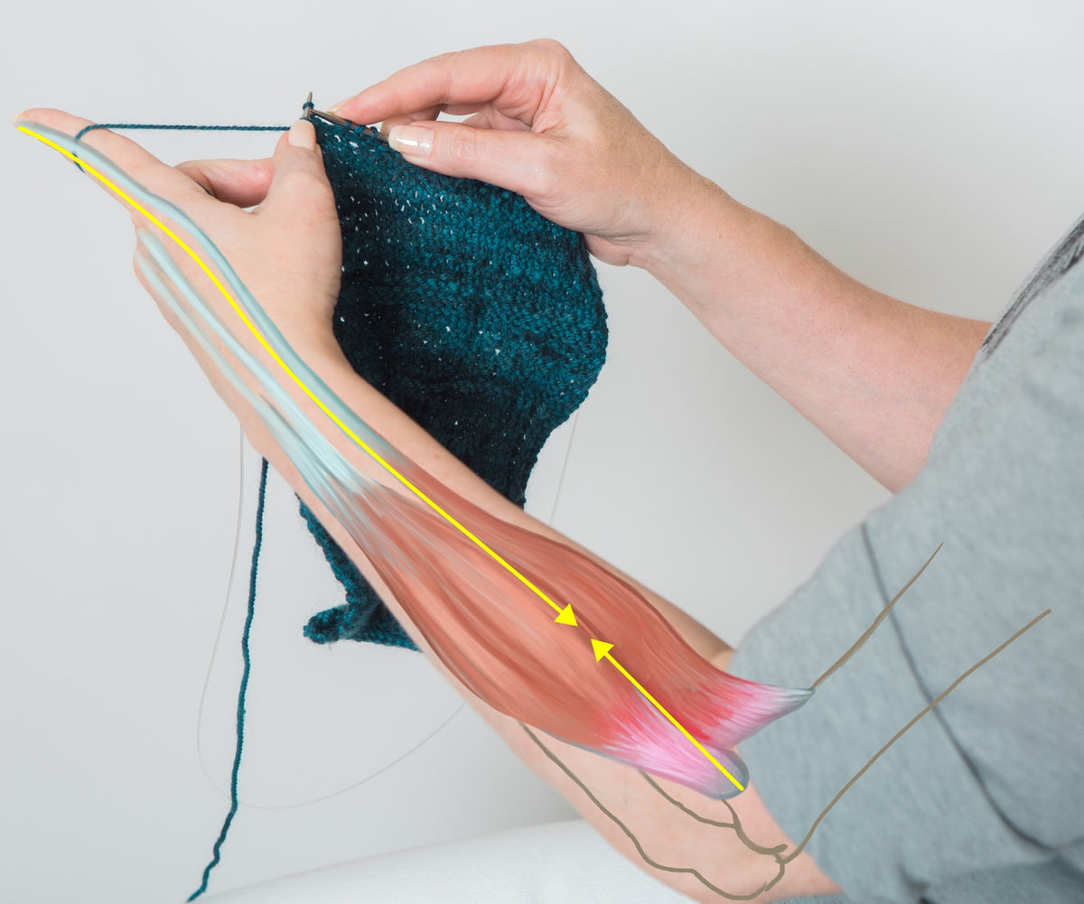 Improving Your Continental Knitting with Carson Demers | November 15, 2026