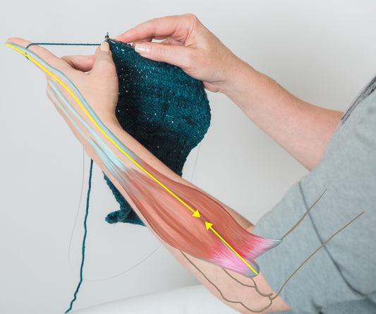 Improving Your Continental Knitting with Carson Demers | November 15, 2026