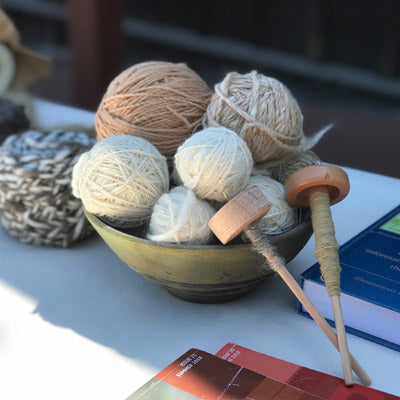 Working with Wool - Fern Homestead Farm Tour | May 3 & 4, 2025