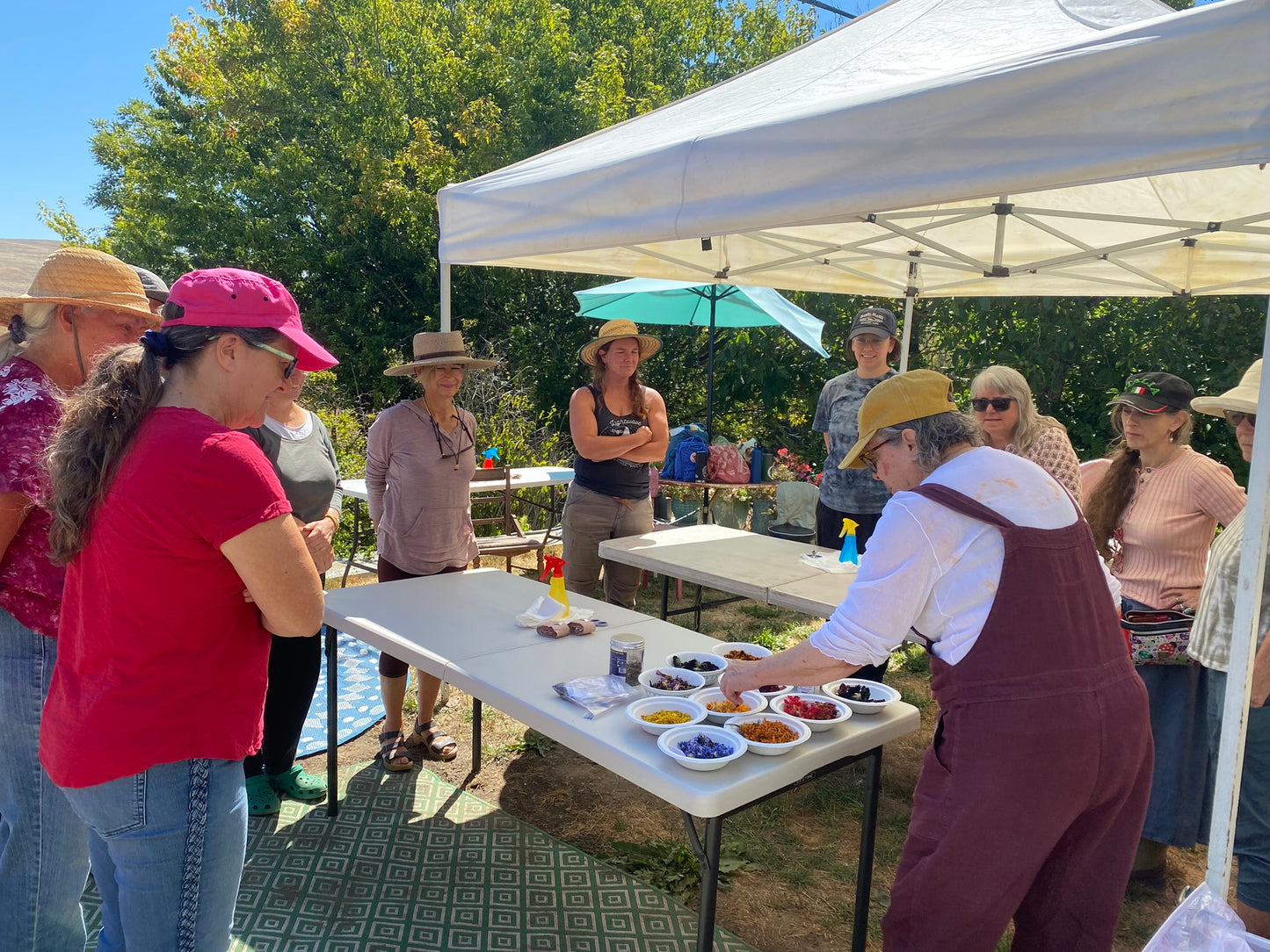 Field Trip! Bundle Dyeing at Handsfull Farm | September 6, 2025