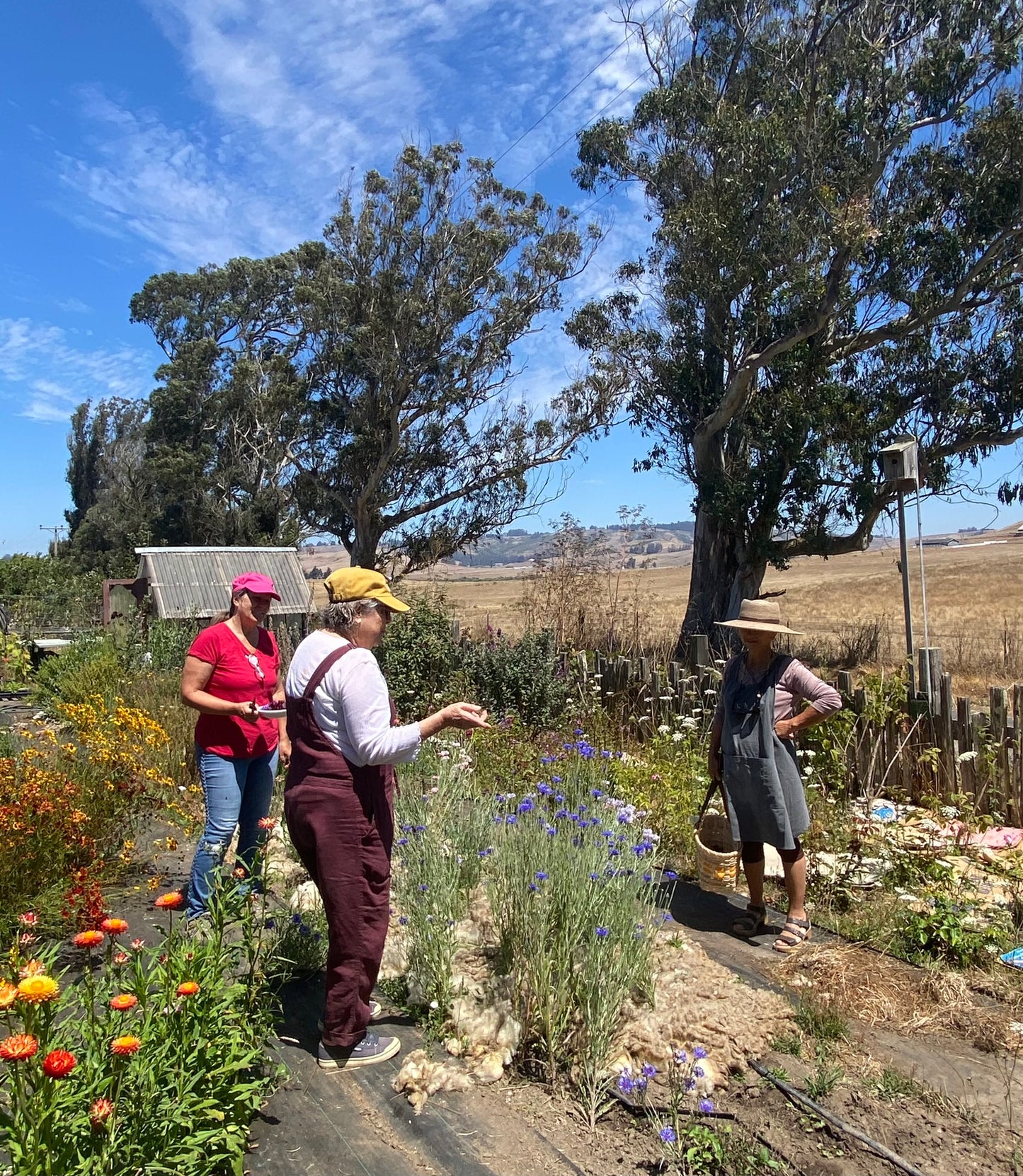 Field Trip! Bundle Dyeing at Handsfull Farm | September 6, 2025