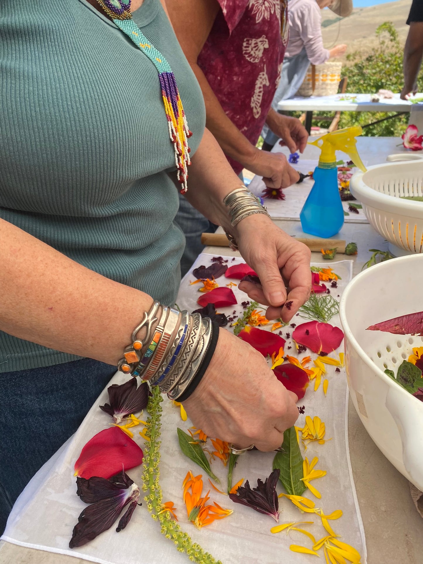 Field Trip! Bundle Dyeing at Handsfull Farm | September 6, 2025