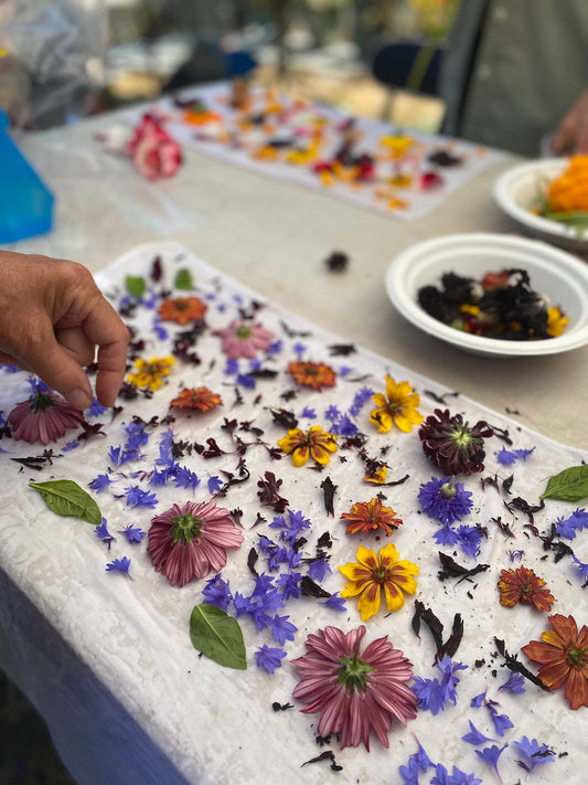 Field Trip! Bundle Dyeing at Handsfull Farm | September 6, 2025