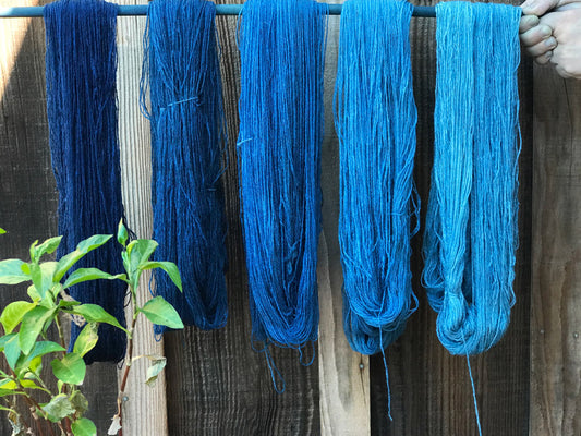 Indigo Dyeing Fabric or Yarn | August 25, 2024