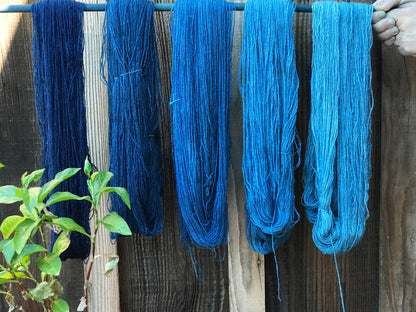 FULL DAY! Indigo Dyeing Fabric or Yarn | January 26, 2025