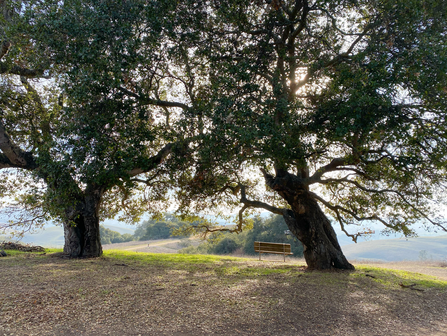 Crafting in Nature - Free Hiking Group | One Sunday A Month