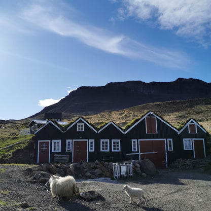 Knitting Retreat in Iceland | October 22 - 29, 2025