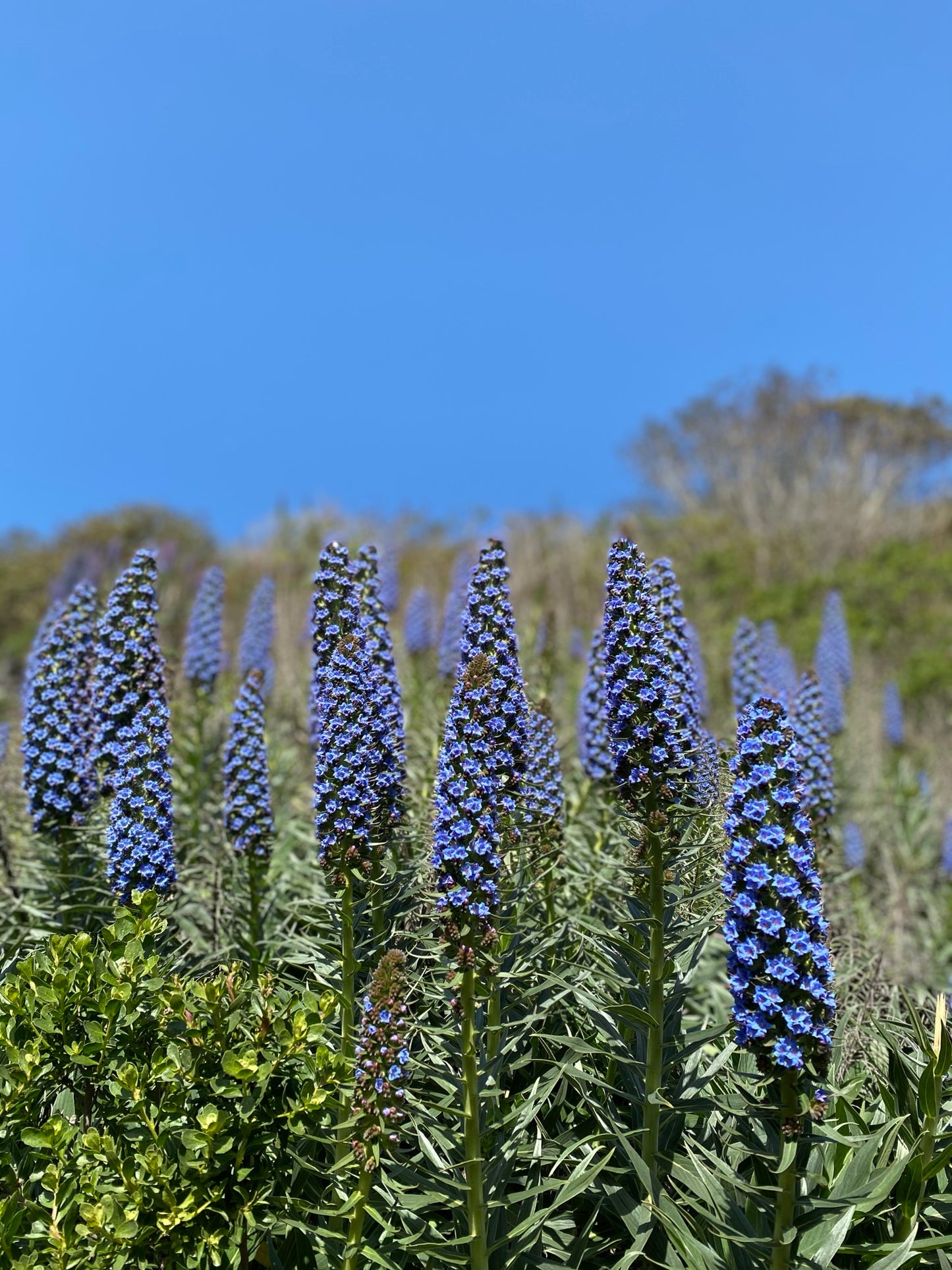 Crafting in Nature - Free Hiking Group | One Sunday A Month