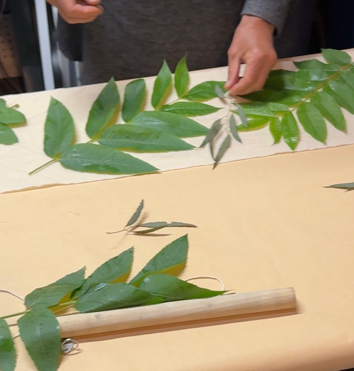 Eco Printing with Leaves | August 30, November 1, 2026