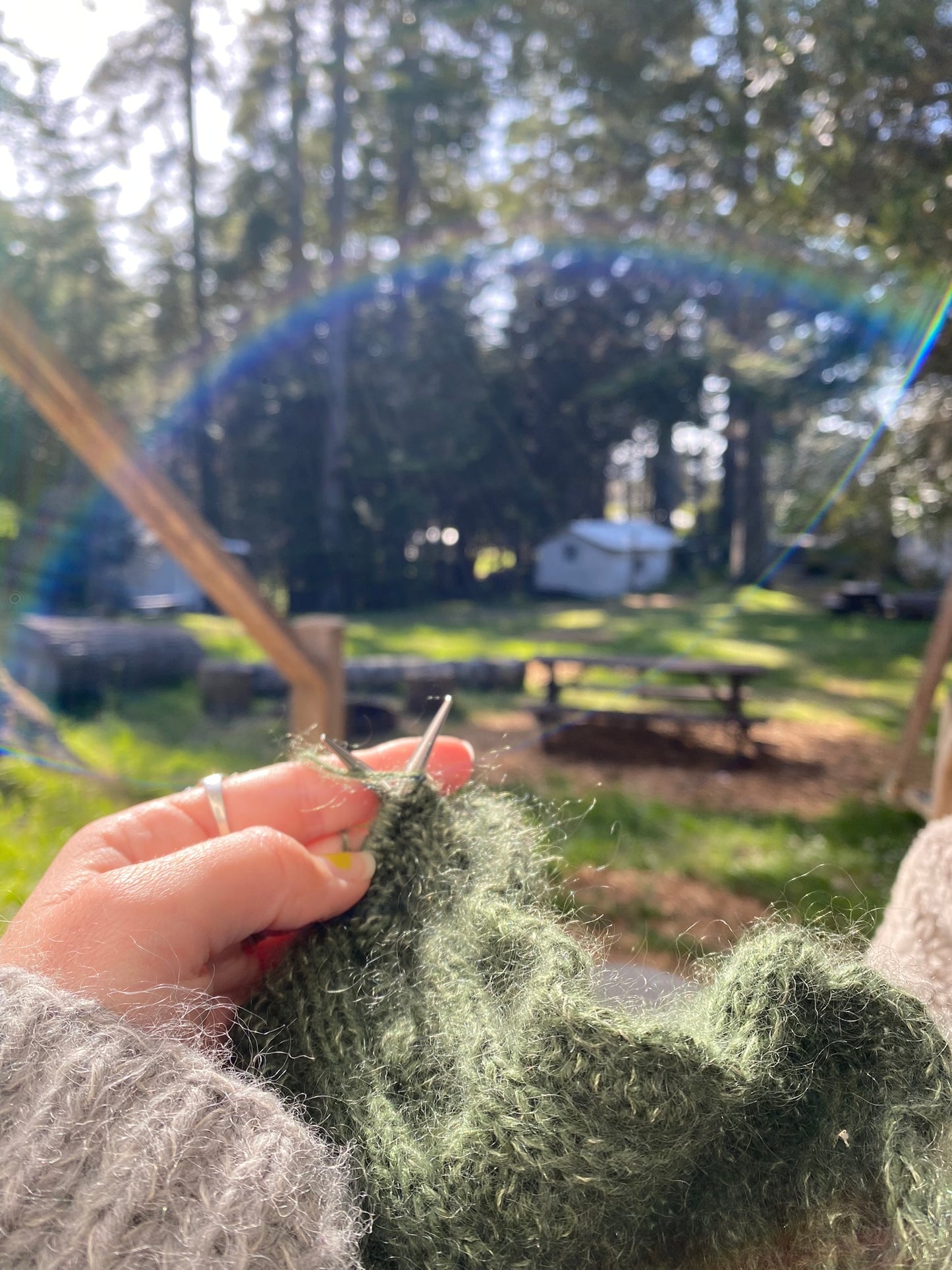 Knitting Under the Redwoods ~ REUNION Retreat | September 23 - 26, 2025