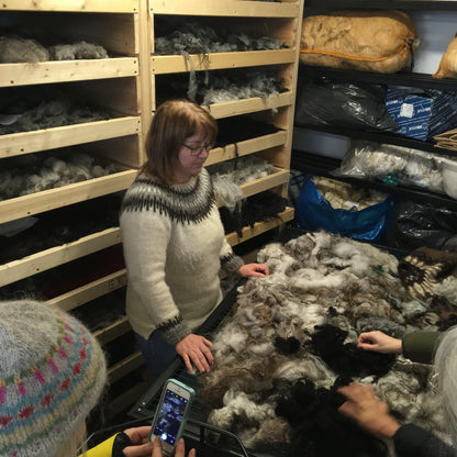 Knitting Retreat in Iceland | October 22 - 29, 2025