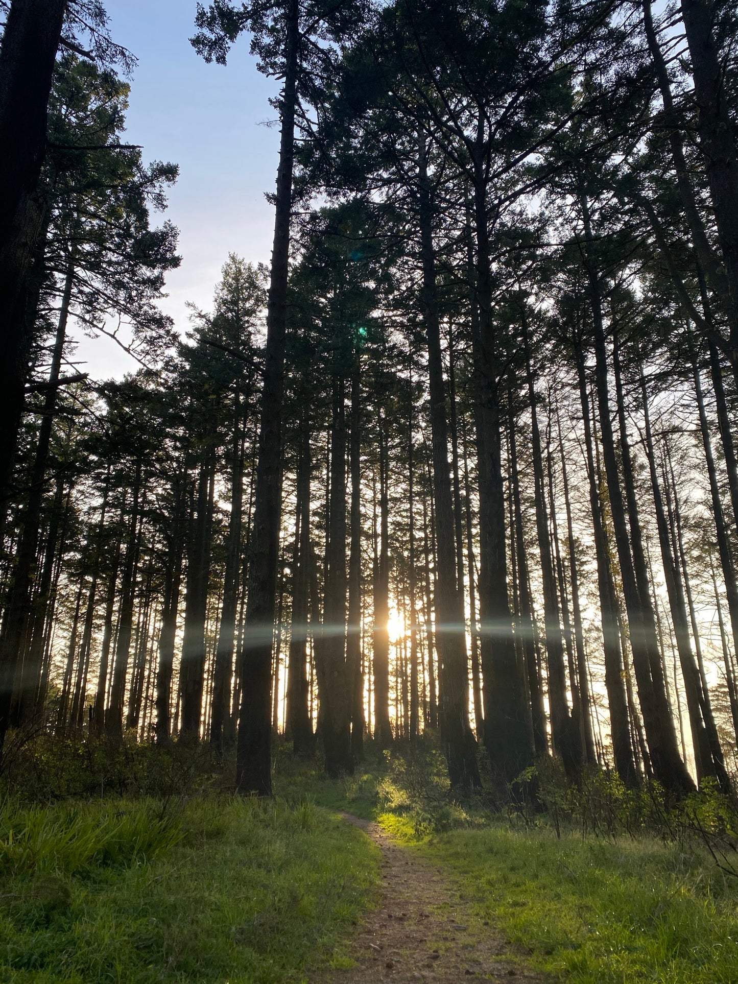 Crafting in Nature - Free Hiking Group | One Sunday A Month