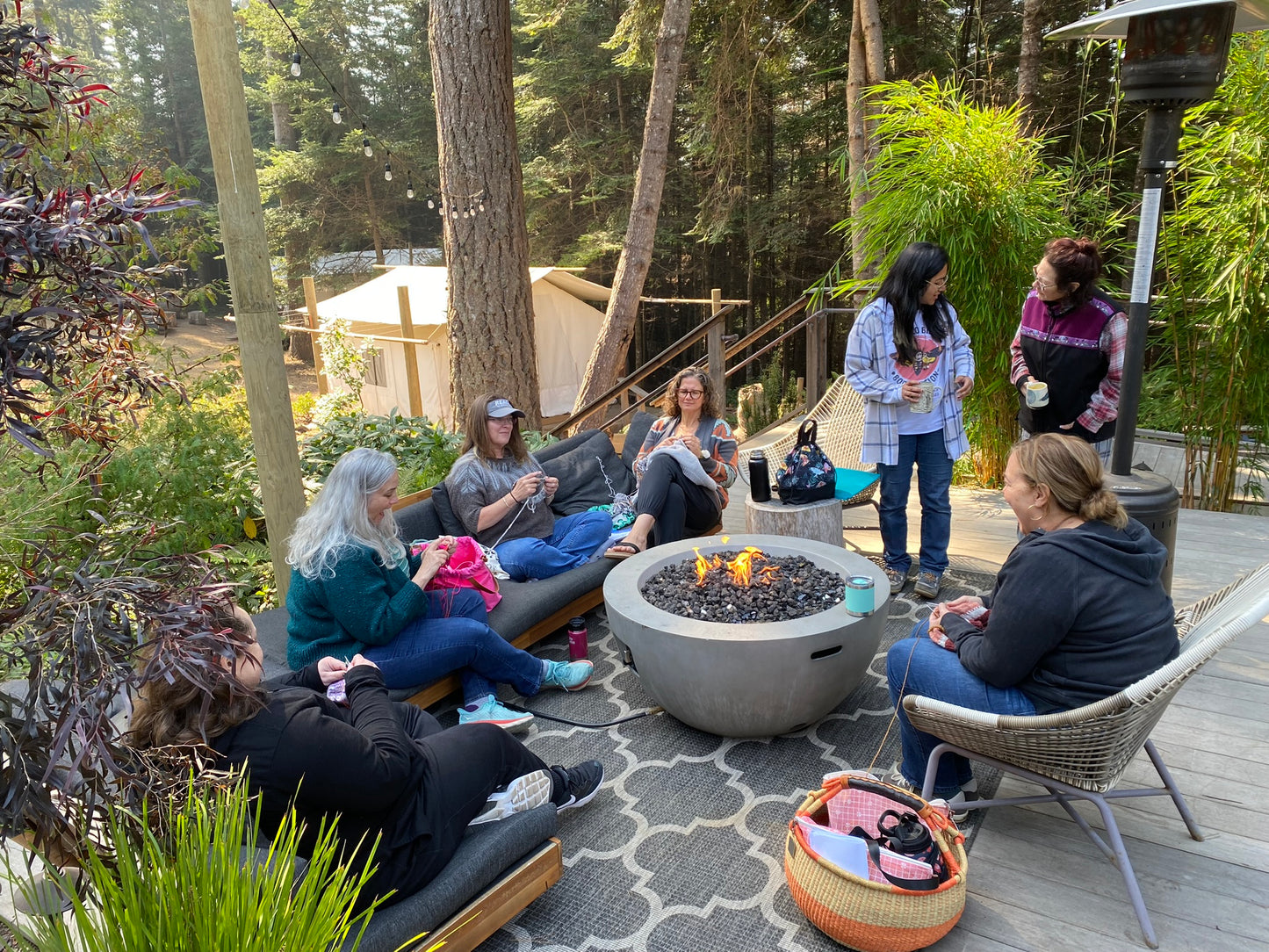 Knitting Under the Mendocino Redwoods SPRING Retreat | May 22 - 25, 2024