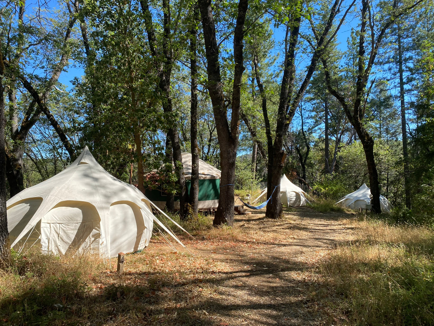 Weaving Wisdom - A Creative Healing Retreat | July 9 - 12, 2025