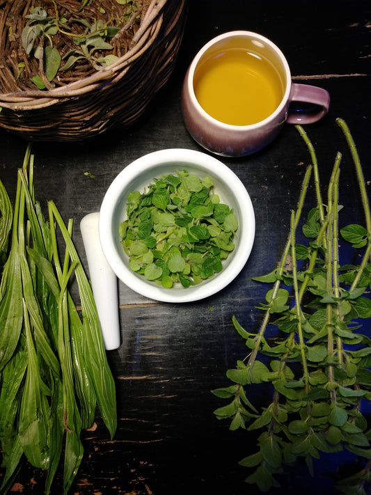 Herbal Medicine Making for Beginners | April 27, 2025