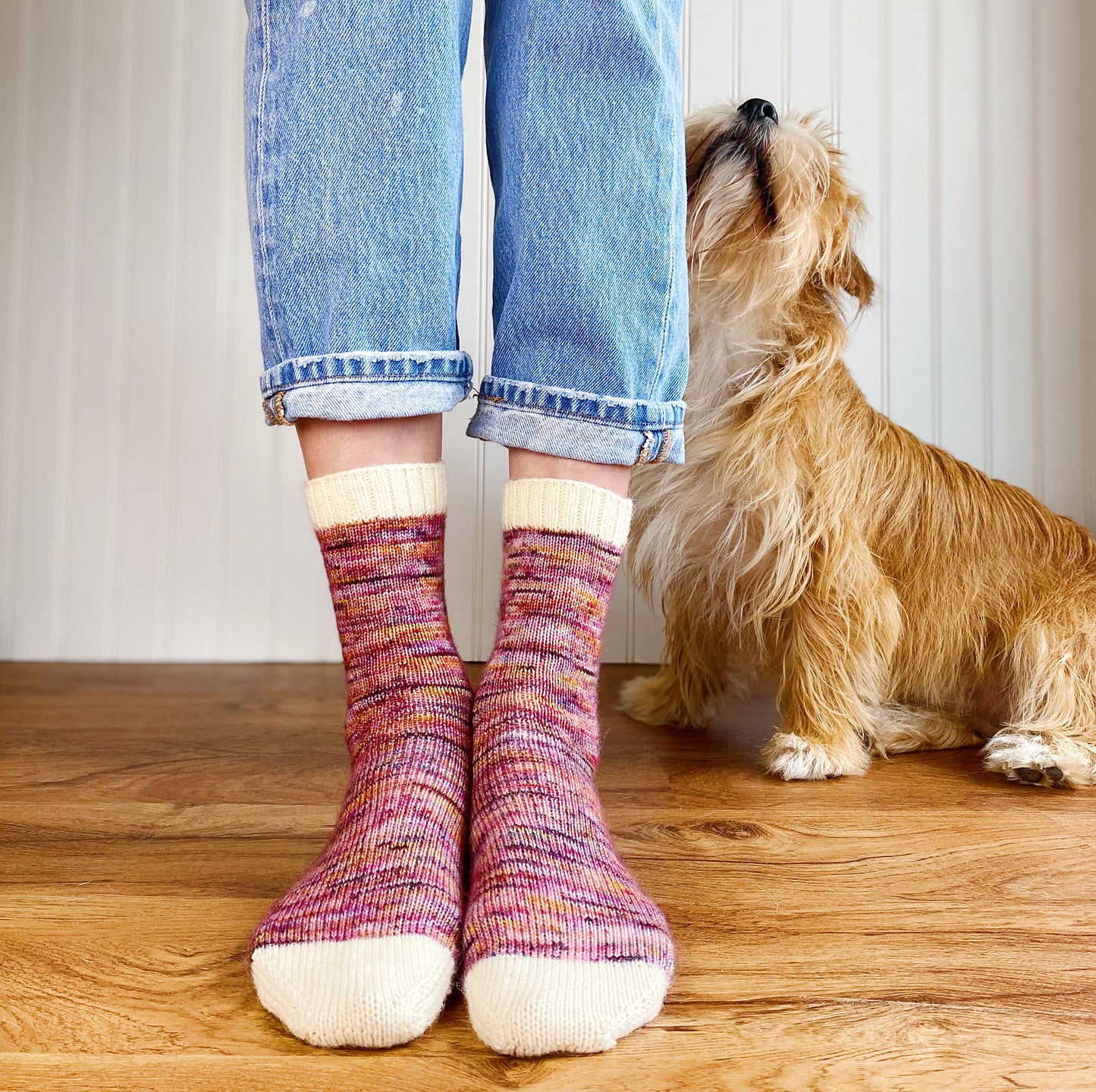 Learn to Knit Socks | November 3 -17, 2026