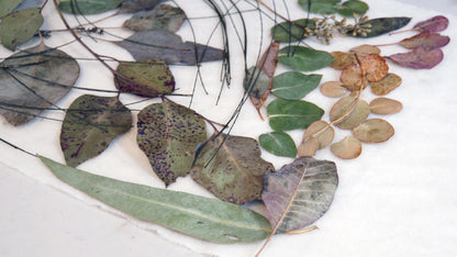 Eco Printing with Leaves | December 8, 2024