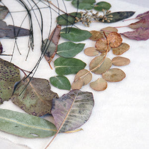 Eco Printing with Leaves | January 19, 2025