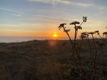 Knitting Under the Mendocino Redwoods SPRING Retreat | May 27 - 30, 2025