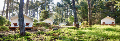 Knitting Under the Mendocino Redwoods SPRING Retreat | May 27 - 30, 2025